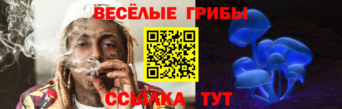Изобильный  Псилоцибиновые грибы ЛСД  Вход с VPN 